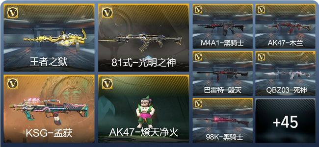 穿越火线：枪战王者V2 101英雄武器 新锐