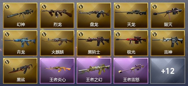 穿越火线（CF）6王者武器 4炫金武器 35V武器 4V角色 8皮肤 可排位