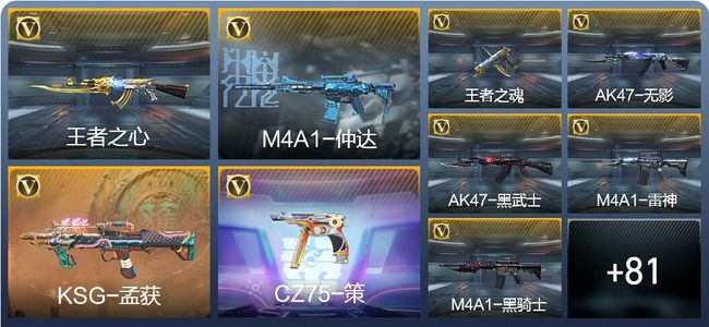 穿越火线：枪战王者V2 164英雄武器 新锐