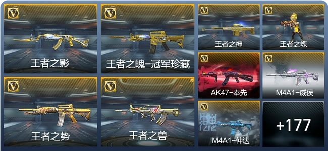 穿越火线:枪战王者V8 319英雄武器 新锐