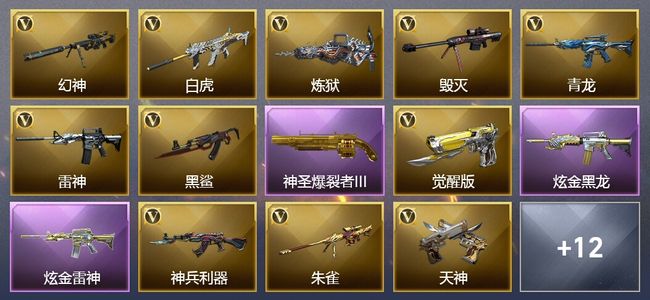 穿越火线（CF）3王者武器 2炫金武器 20V武器 10V角色 4皮肤 可排位