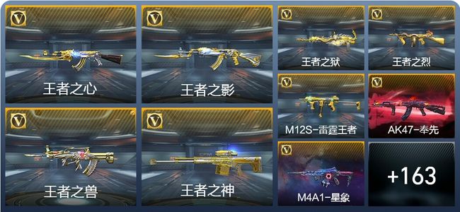 穿越火线：枪战王者V8 264英雄武器 新锐