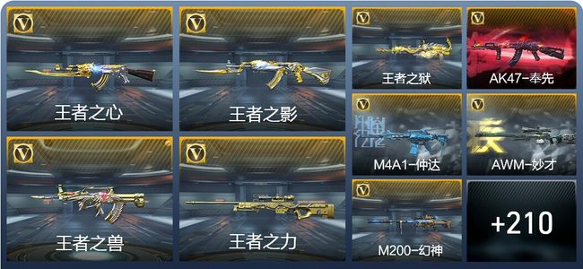 穿越火线：枪战王者V6 401英雄武器 新锐