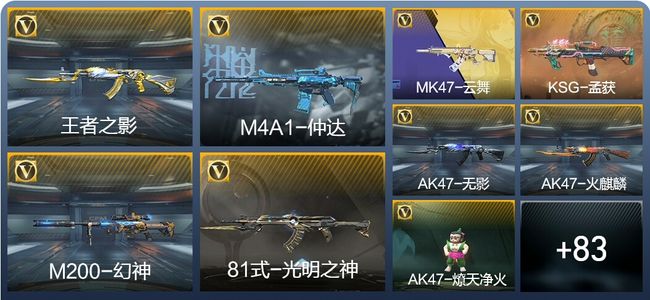 穿越火线：枪战王者V1 163英雄武器 新锐