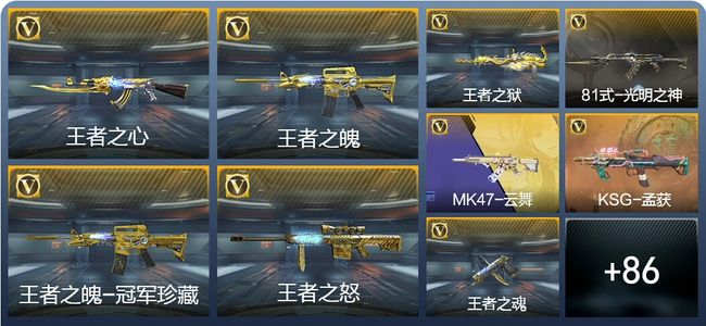 穿越火线：枪战王者V8 135英雄武器 新锐