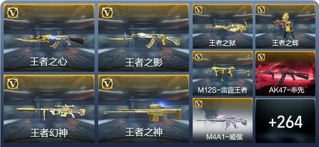 穿越火线：枪战王者V8 466英雄武器 新锐