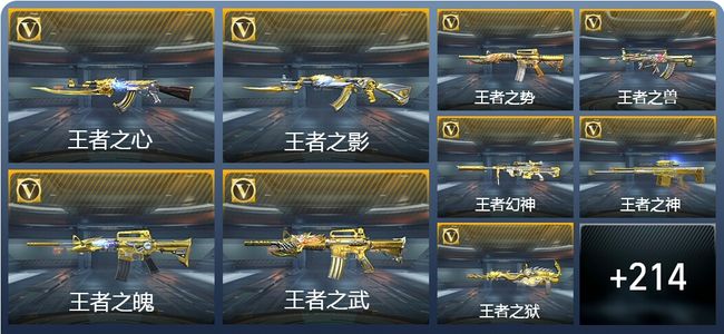 穿越火线：枪战王者V9 316英雄武器 新锐