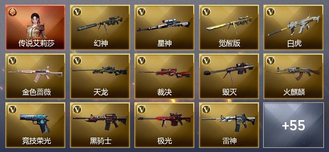 穿越火线（CF）1传说角色 15王者武器 3炫金武器 61V武器 43V角色 51皮肤 可排位