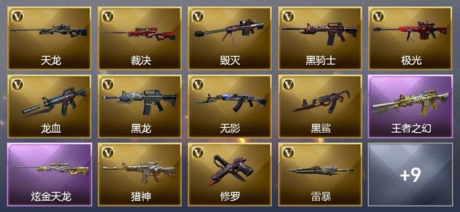 穿越火线（CF）1王者武器 1炫金武器 22V武器 5V角色 6皮肤 可排位