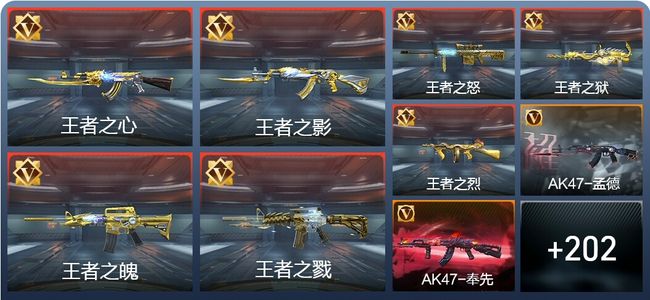 穿越火线：枪战王者V9 396英雄武器 新锐