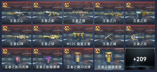 穿越火线：枪战王者V8 329英雄武器 新锐