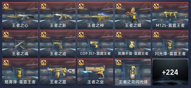 穿越火线：枪战王者V4 452英雄武器 新锐