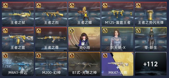 穿越火线：枪战王者V3 208英雄武器 新锐