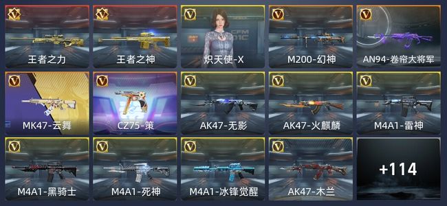 穿越火线：枪战王者V5 237英雄武器 新锐
