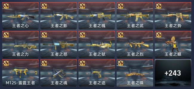 穿越火线：枪战王者V9 384英雄武器 新锐