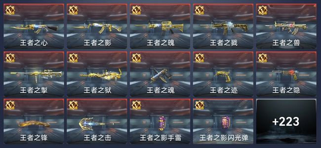 穿越火线：枪战王者V8 375英雄武器 新锐