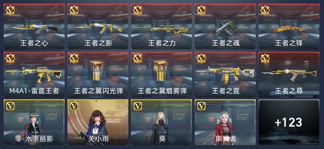 穿越火线：枪战王者V6 204英雄武器 新锐