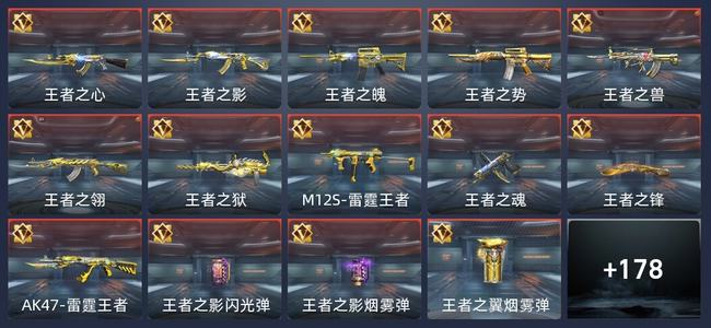穿越火线：枪战王者V8 337英雄武器 新锐