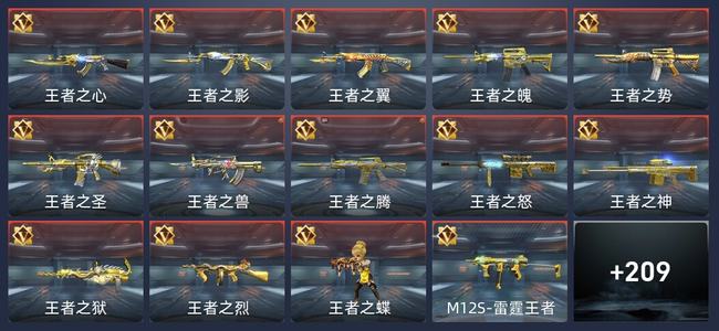 穿越火线：枪战王者V8 328英雄武器 新锐
