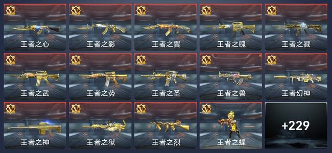 穿越火线：枪战王者V8 359英雄武器 新锐