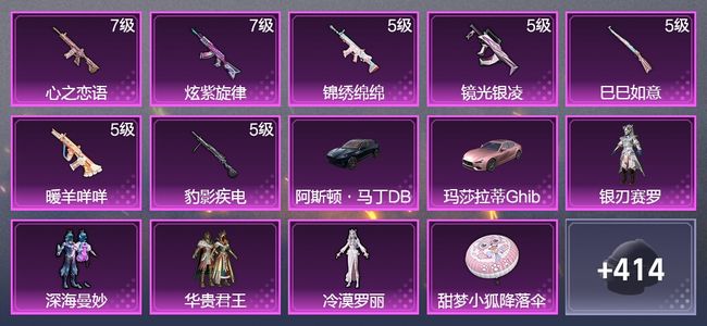 和平精英2载具 7升级枪 4粉装 1飞行器 245枪皮 201套装 81204热力 5印记