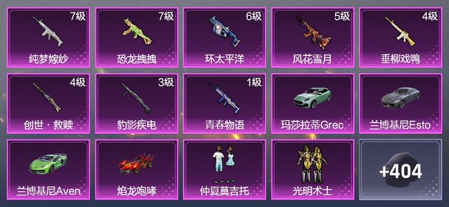 和平精英【苹果版】4载具 8升级枪 20粉装 3飞行器 210枪皮 191套装 84235热力 10印记