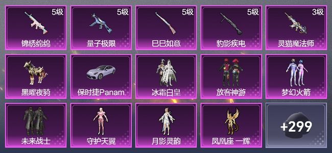 和平精英2载具 5升级枪 8粉装 1飞行器 181枪皮 123套装 59521热力 11印记 王牌