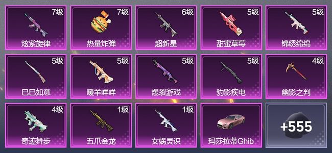 和平精英1载具 13升级枪 11粉装 3飞行器 319枪皮 249套装 109727热力 19印记 王牌