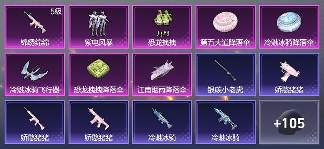 和平精英1升级枪 2粉装 1飞行器 68枪皮 53套装 21170热力 2印记 皇冠