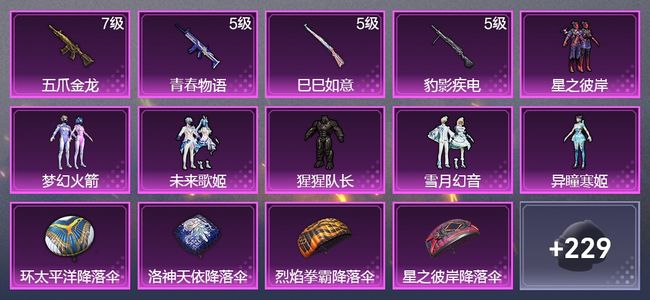 和平精英4升级枪 6粉装 149枪皮 100套装 45447热力 3印记