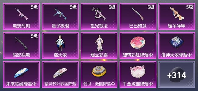 和平精英6升级枪 2粉装 197枪皮 141套装 58566热力 10印记 王牌