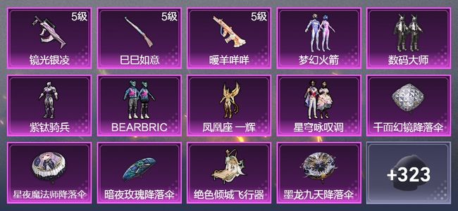 和平精英3升级枪 6粉装 4尾迹 189枪皮 151套装 59488热力 13印记