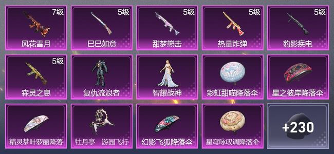 和平精英6升级枪 2粉装 2尾迹 154枪皮 108套装 43268热力 5印记 皇冠