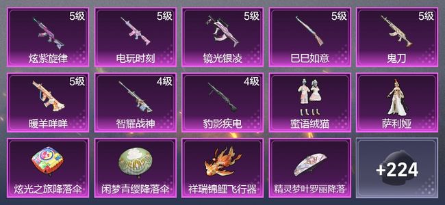 和平精英8升级枪 2粉装 3尾迹 143枪皮 100套装 42410热力 5印记