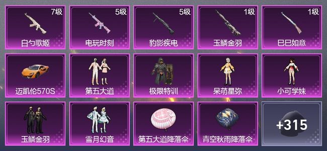 和平精英1载具 5升级枪 6粉装 1尾迹 170枪皮 164套装 55115热力 7印记