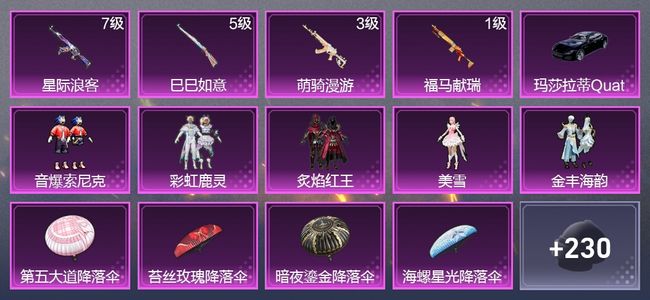 和平精英1载具 4升级枪 5粉装 1尾迹 127枪皮 113套装 42334热力 5印记 星钻