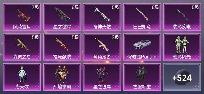 和平精英1载具 8升级枪 10粉装 5尾迹 304枪皮 248套装 100466热力 9印记 皇冠