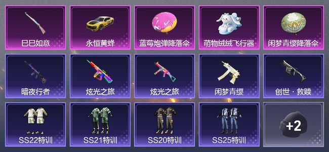 和平精英1载具 1升级枪 1尾迹 6枪皮 6套装 2印记