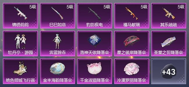 和平精英5升级枪 2粉装 2尾迹 24枪皮 24套装 1印记