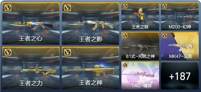 穿越火线：枪战王者V6 18王者武器 217英雄武器 6英雄角色 370万化 枪王