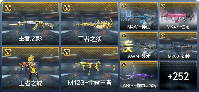 穿越火线：枪战王者14王者武器 261英雄武器 8英雄角色 510万化 专家S