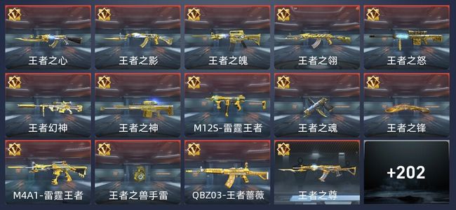 穿越火线：枪战王者V8 16王者 210英雄武器 6英雄角色 449万化 传奇