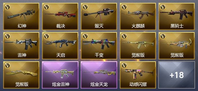 穿越火线（CF）1王者武器 2炫金武器 33V武器 1V角色 9皮肤 可排位 枪王