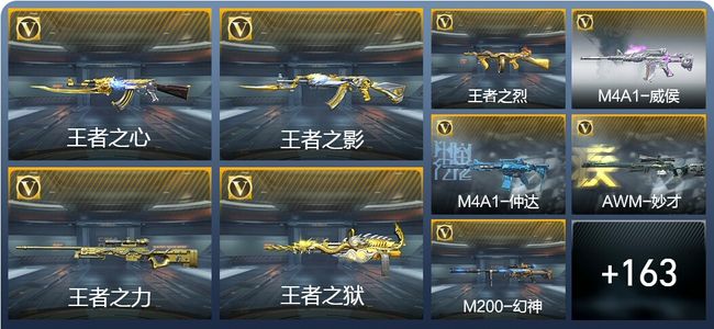 穿越火线：枪战王者V6 315英雄武器 新锐