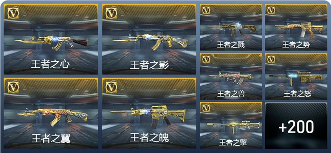 穿越火线：枪战王者V10 305英雄武器 新锐