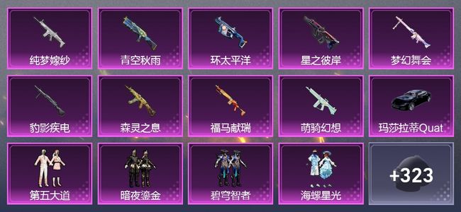 和平精英1载具 10升级枪 16粉装 2尾迹 189套装 8,3243热力 13印记