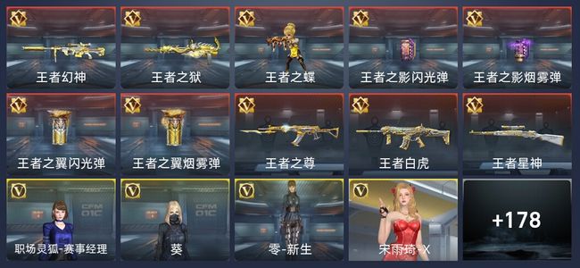 穿越火线：枪战王者V7 10王者 213英雄武器 4英雄角色 390万化 枪神