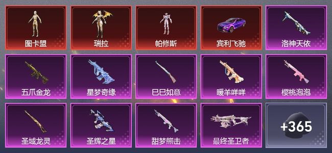 和平精英8载具 22升级枪 13粉装 8尾迹 304枪皮 221套装 122533热力 21印记