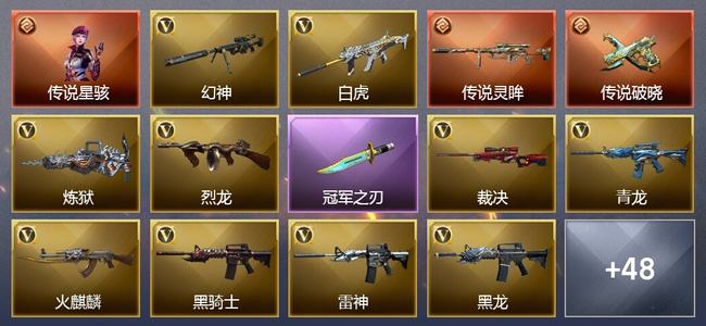 穿越火线（CF）1传说角色 2传说武器 2王者武器 0炫金武器 75V武器 25V角色 11皮肤 可排位 无