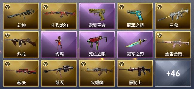 穿越火线（CF）8王者武器 39V武器 5V角色 21皮肤 可排位 枪王